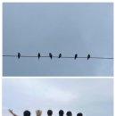 휘영씨에게 이미지