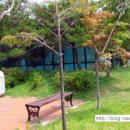 마홀사우나 이미지