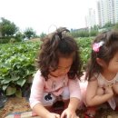 파란하늘어린이집 이미지