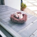 그대스테이 이미지