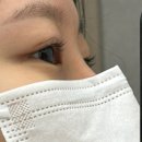 노멀라인속눈썹&브로우구미