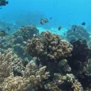 유용의 시간들 이미지