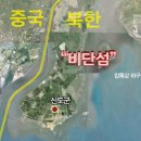황금비단 이미지