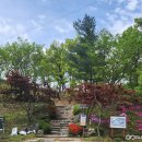 영천시 그린환경센터 이미지