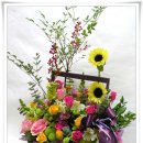 지오메디 이미지