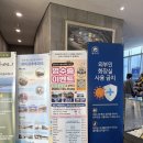 물꼬기 | 30개월 아이와 강릉 경포아쿠아리움 &amp; 물꼬기 키즈카페 후기