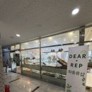 보람환경 | 세종 핫플레이스 세종 파충류샵 디어렙 세종보람점 크레스티드 게코 분양후기