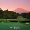 태평양 금호 이미지