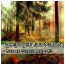 근화 이미지