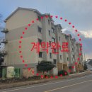 메디치빌 이미지