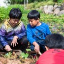 은적자연관광농원 이미지