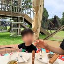 레스트인제주 | [제주 동쪽 키즈카페] 아이올레인포레스트, 숲놀이터와 수영장을 한번에 즐기는 제주 아이랑 가볼만한곳