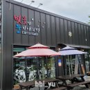 벚꽃에눈이내리면 이미지