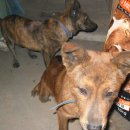 고건농장 이미지