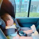 강서 명동전가 이미지