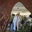 떡계명 미사본점 | 하남미사경정공원 근처 맛집 갈비도락 미사본점, 남양주 팔숲카페(+지피티의 10km러닝 코칭)