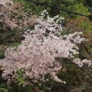 소양댐시민숲공원 이미지