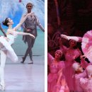 호두까기 이미지