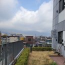 섬세히 | [서울 성북 예초 후기] 디테일 하나로 새집처럼 섬세히 작업 🌳