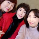 영어 입문 이미지