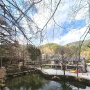 간현청소년수련원 | 원주 피노키오숲 아이랑 1박2일 숙소 추천, 숙박 패키지 후기(바베큐,숲해설,족욕,조식)