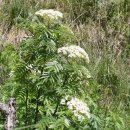 울릉(도동)민박 이미지