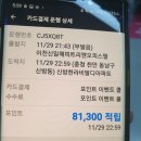 11월29일 이미지