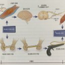 감각채 네이버블로그