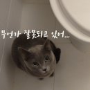 공감 이미지