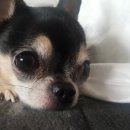 간석2동-19 이미지