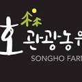 송호관광농원민박 이미지