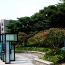 갈미한글공원 이미지