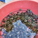 산마루펜션 이미지