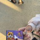 매직넷 | 롯데월드 어드벤처 부산 할로윈특집 (매직패스 사용후기)