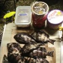 거문도바다