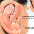 메인동물병원 이미지