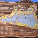 호수공원소나무숲길 이미지