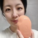 엄마랑 나랑 찰랑찰랑! 탱글티저 오리지널 미니 키즈 &amp; 오리지널 플랜트 신상 브러쉬