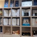 굿모닝보청기(경북대병원점) | 굿모닝보청기순천향센터에서 보청기 맞춘 후기, 아버지도 만족하셨어요