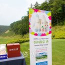 하우존