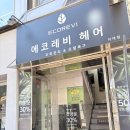 이대 미용실 헤드스파 전문 에코레비헤어 신촌 헤어샵 클리닉 추천