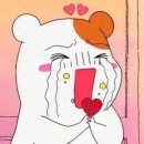 조은피드 이미지