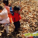 광명유치원 이미지