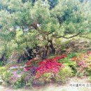 계명세탁소 이미지