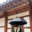 국선도 | [일상] 고창 선운사 템플스테이 훅이