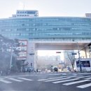 홍익 행정사 사무소 이미지