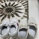 슈올즈 하단점 이미지