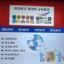 신녹색