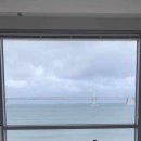 리벤시아 이미지