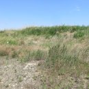 포항시남구13 이미지